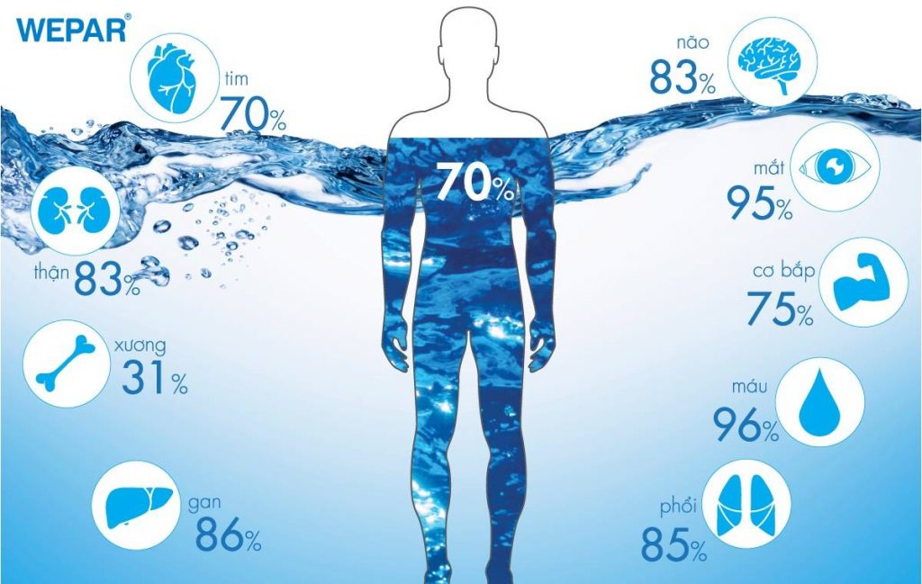 Vai trò của nước so với cơ thể