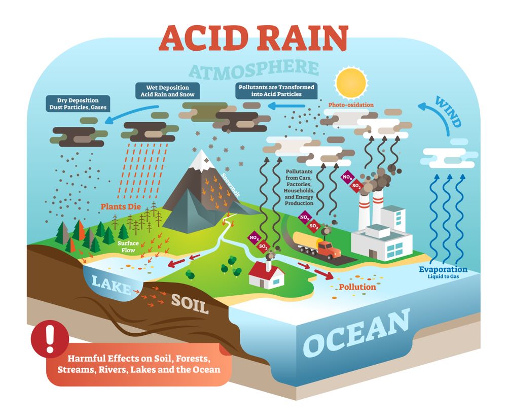 Độ PH của nước mưa là bao nhiêu, có axit không, có chứa thành phần gì?