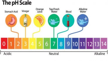 Nước uống có độ PH bao nhiêu tốt, là uống được, cách đo độ PH?