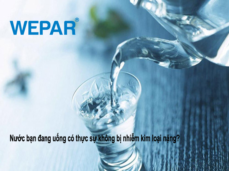 10 Tác hại uống nước bị nhiễm kim loại nặng ảnh hướng đến cơ thể