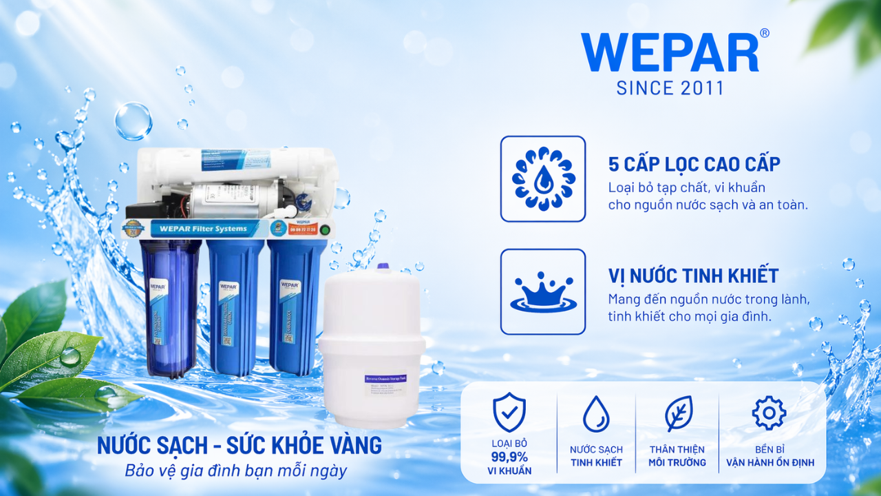 WP5